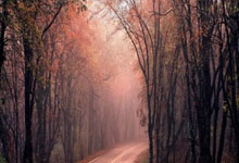 斯卡洛尼谈为灾区捐款：我们必须做点什么，要尽自己的一份力量.