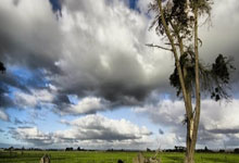 虎扑体育：弥补丁俊晖一轮游遗憾，艾伦出局利好吴宜泽，巡.