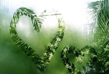 中国足球-种因得果.